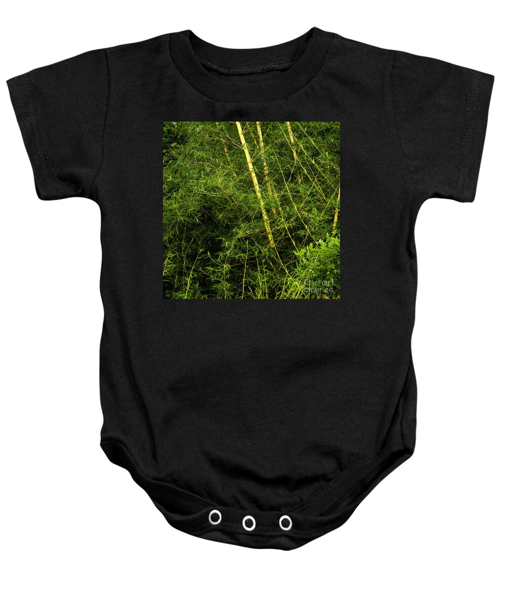 Bamboo Baby Onesie featuring the photograph Wild Bamboo by Gina Koch