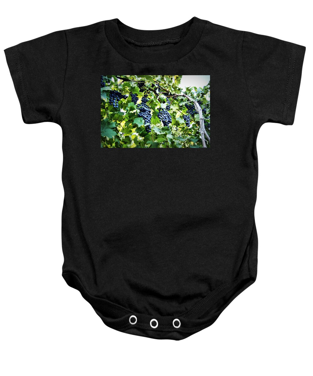 Grape Baby Onesie featuring the photograph Wine on the Vine by Cricket Hackmann