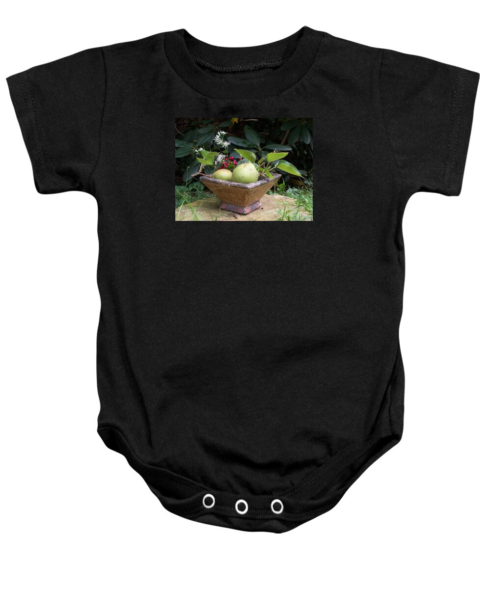 Pears Baby Onesie featuring the photograph Winter Pears by Dani McEvoy