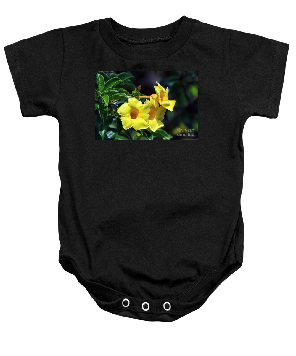 Flower Baby Onesie featuring the photograph Yellow Allamanda by Teresa Zieba