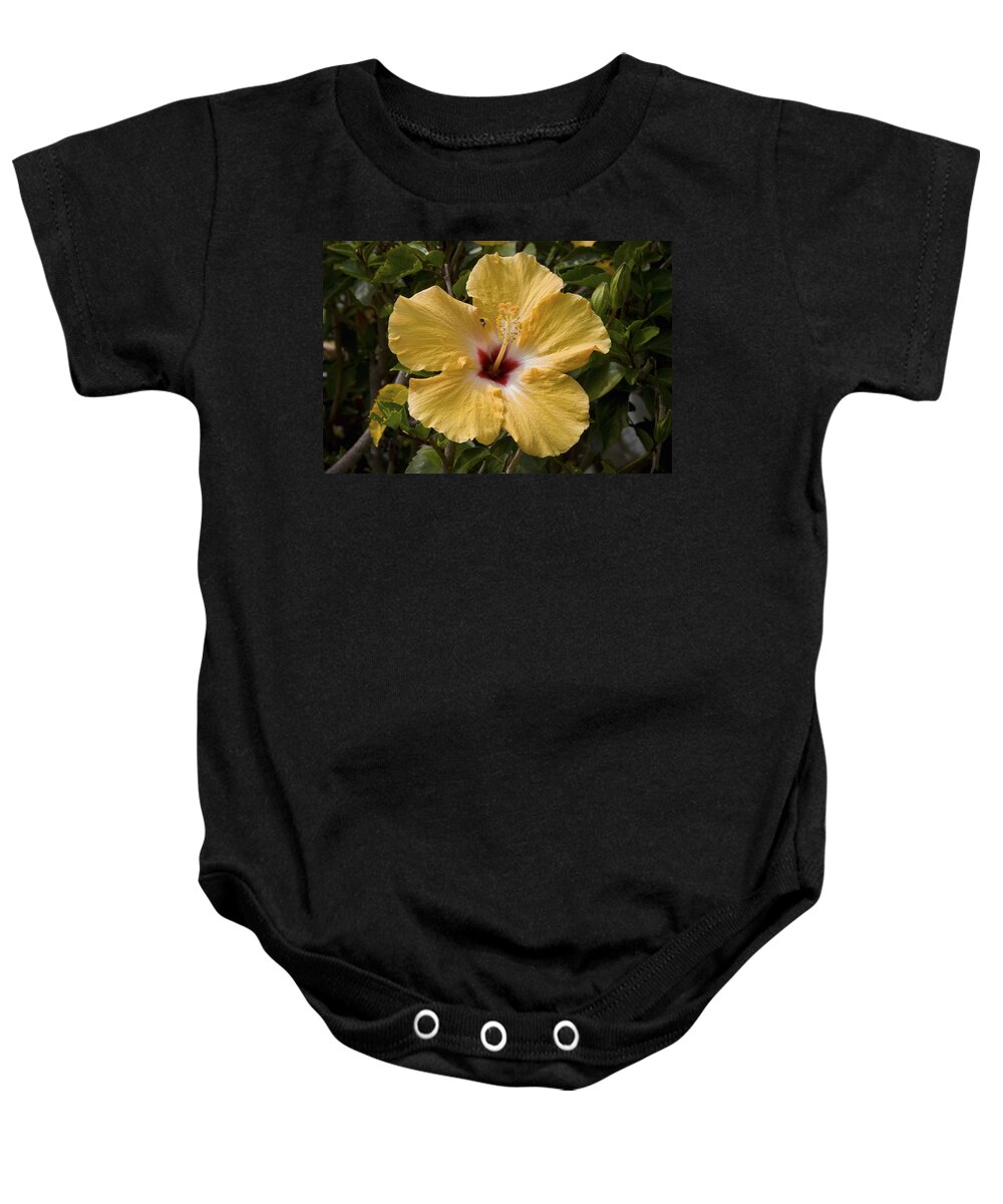 Yellow Baby Onesie featuring the photograph Yellow Hibiscus by Diane Macdonald
