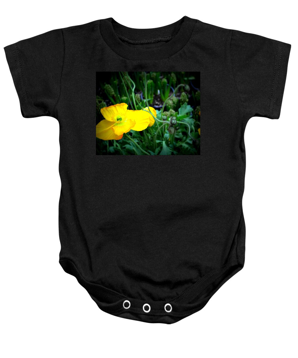 Yellow Poppy Baby Onesie featuring the photograph Yellow Poppy XL Format Floral Photography by Katy Hawk
