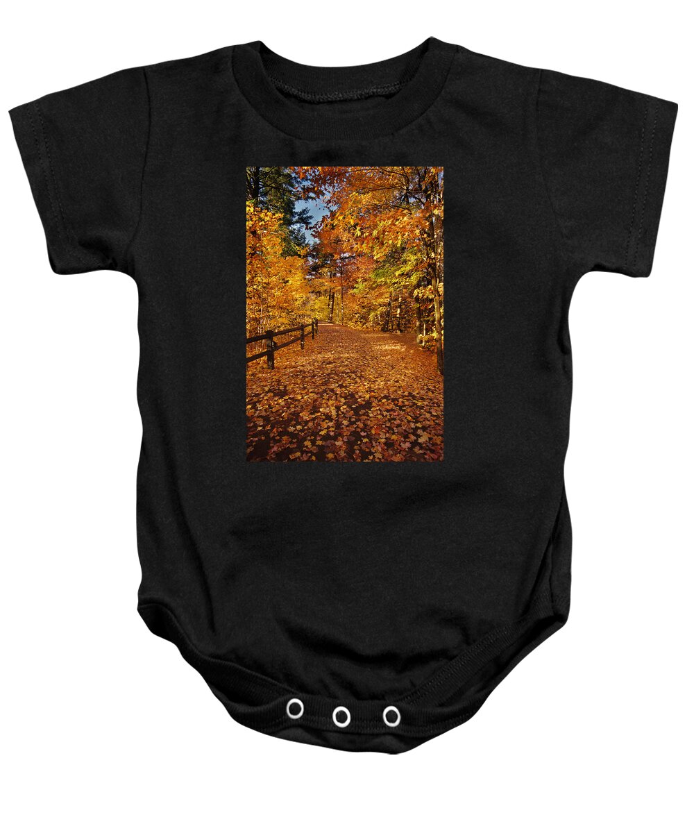Fall Baby Onesie featuring the photograph Golden Path by Ron Weathers