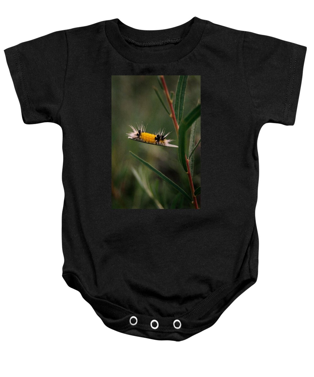 Bug Baby Onesie featuring the photograph Struttin Your Stuff by Ron Weathers