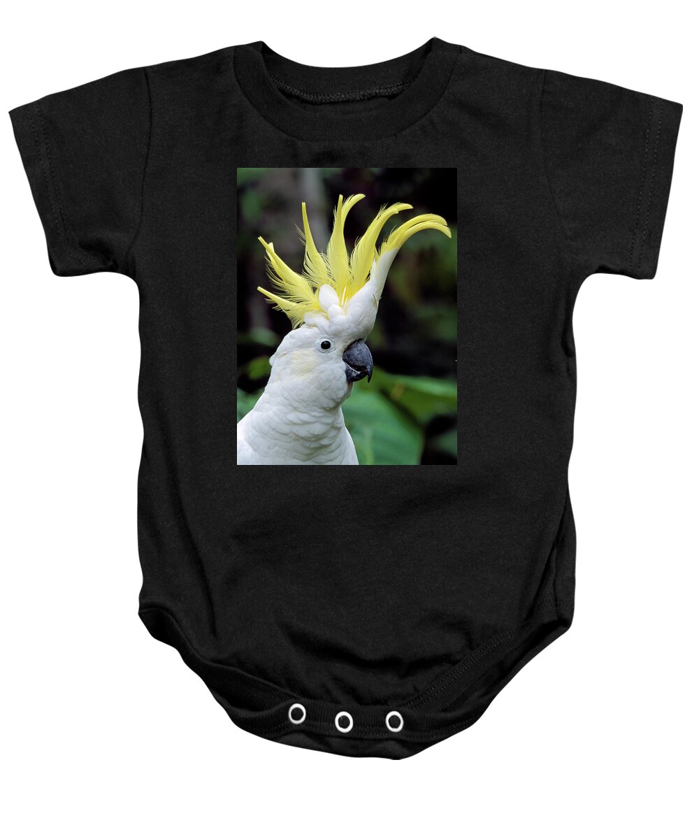 00785496 Baby Onesie featuring the photograph Sulphur-crested Cockatoo Cacatua by Thomas Marent