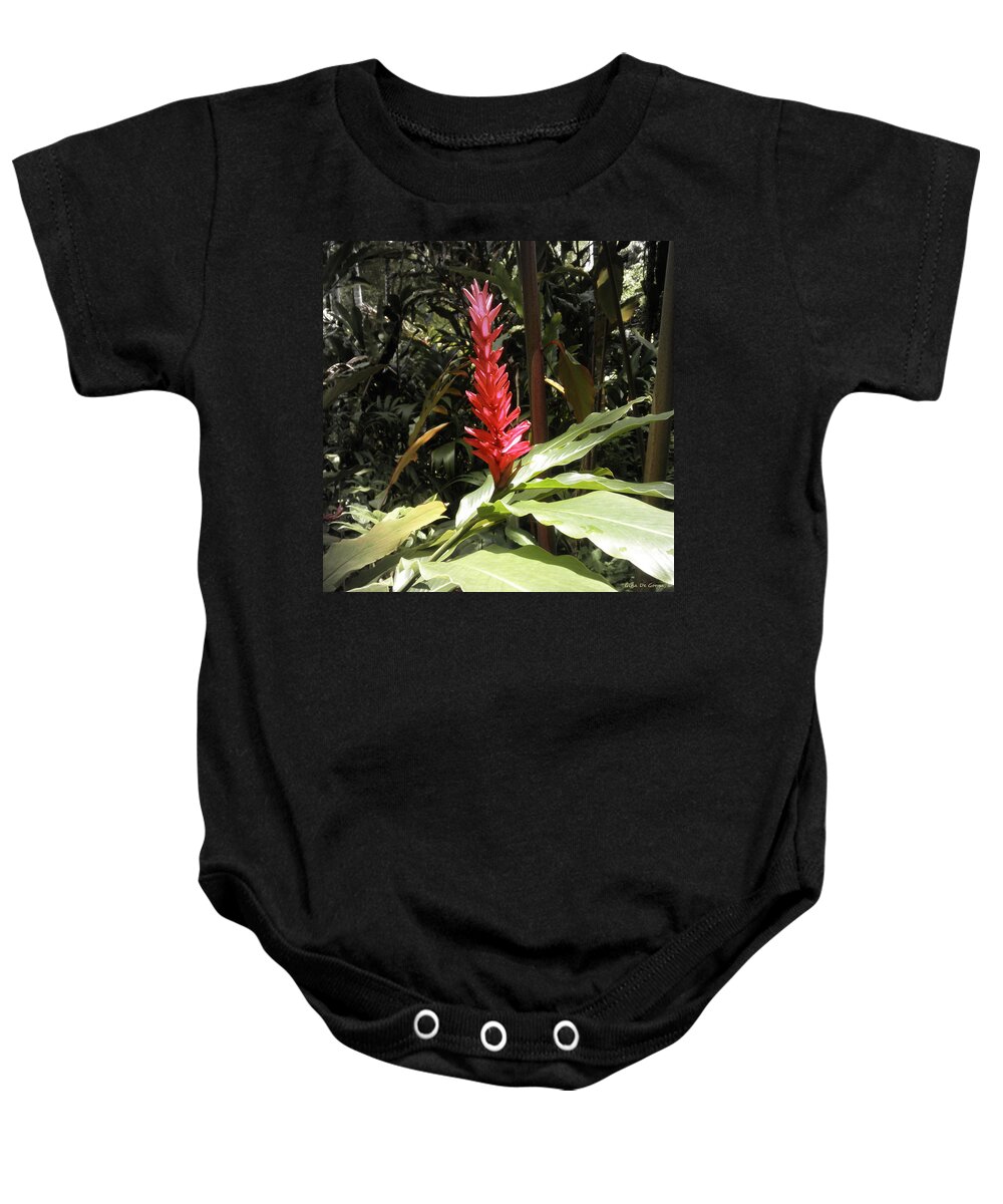 Flowers Baby Onesie featuring the photograph Tropical Flower #6 by Gina De Gorna