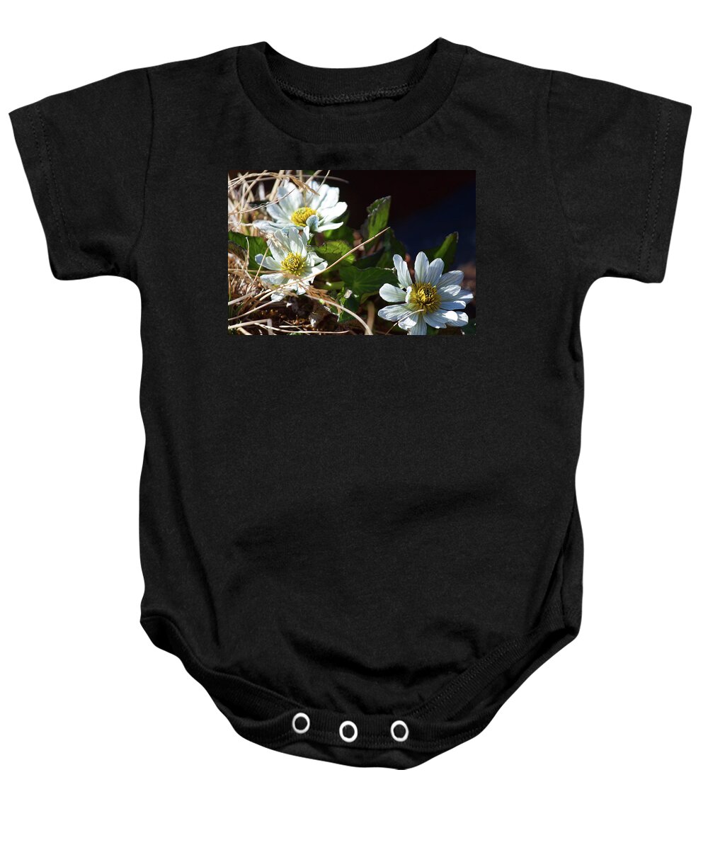 Alpine Flower Photograph Baby Onesie featuring the photograph Alpine Flowers by Jim Garrison