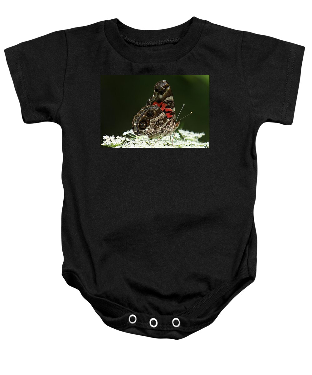 Vanessa Virginiensis Baby Onesie featuring the photograph American Painted Lady Butterfly by Daniel Reed