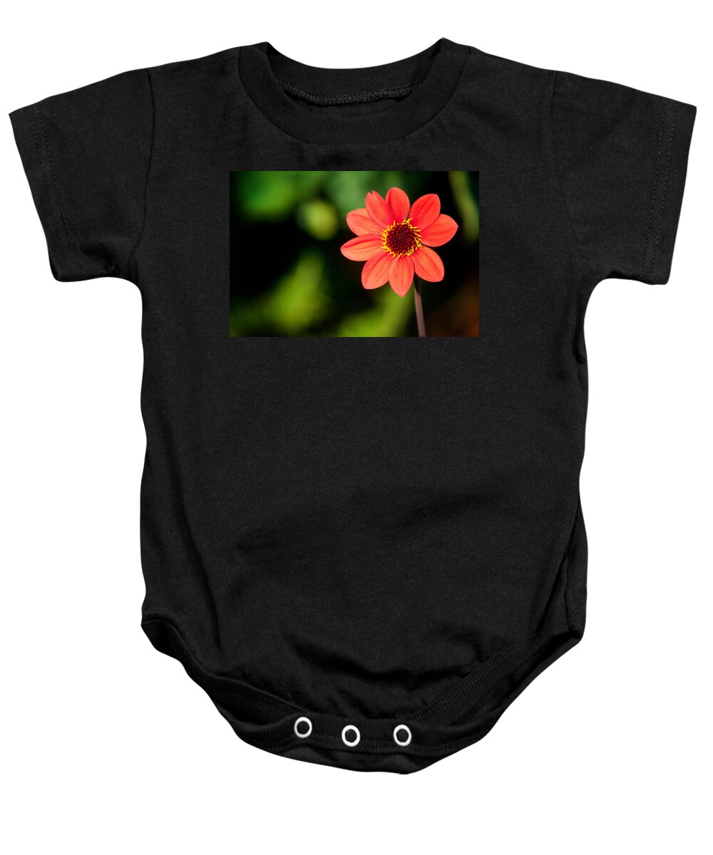 Flora Baby Onesie featuring the photograph Be Happy to be Individual by Lynne Jenkins