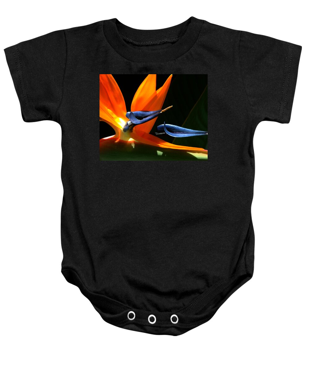 Nature Baby Onesie featuring the photograph Bird of Paradise by Peggy Urban