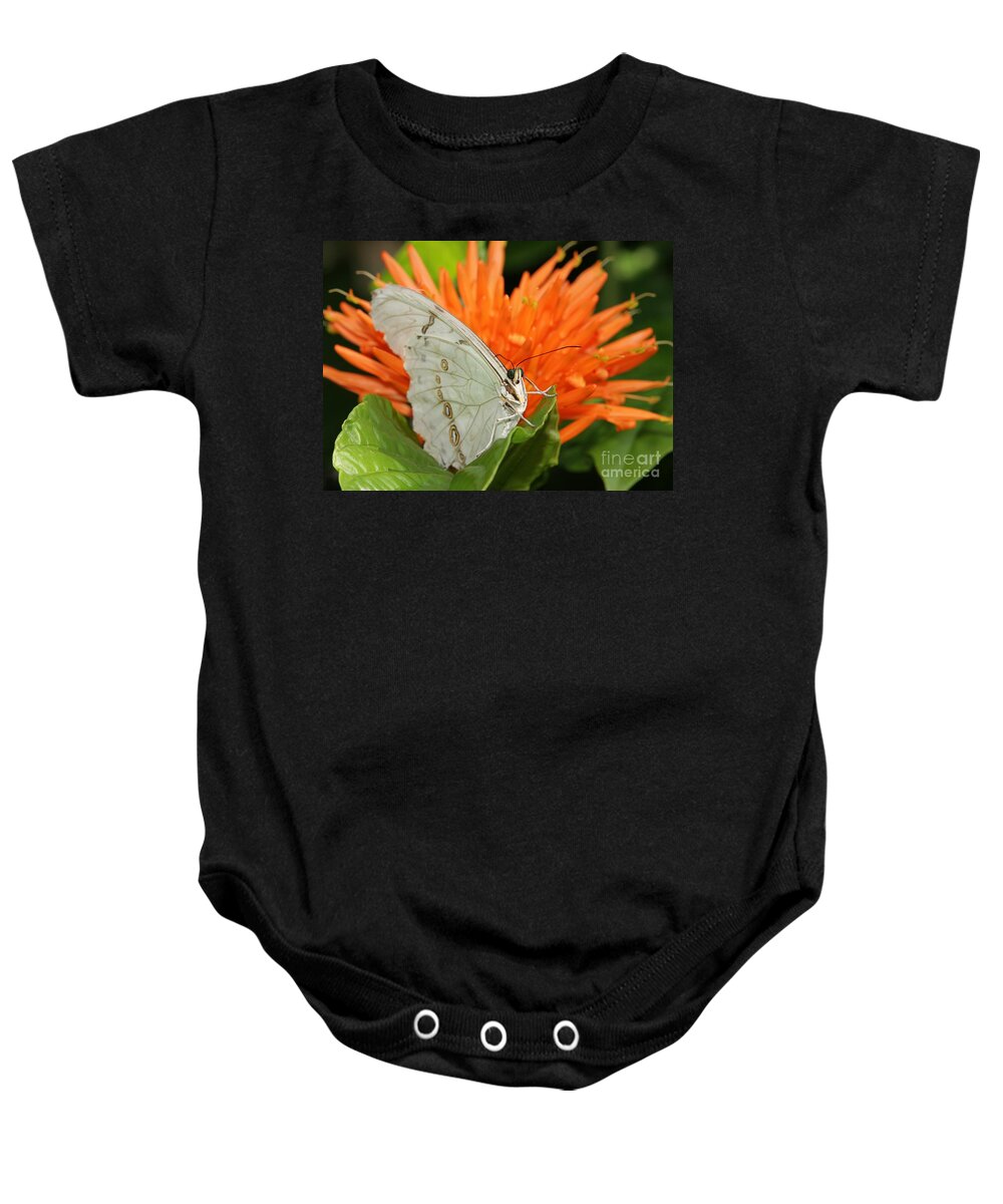 Butterfly Baby Onesie featuring the photograph Butterflies Love Orange Flowers by Sabrina L Ryan