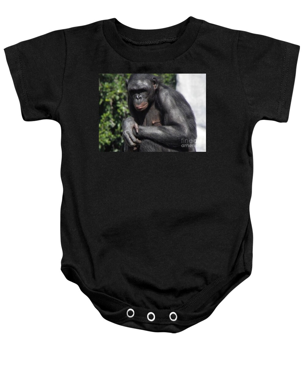 Chimpanzee Baby Onesie featuring the photograph Chimpanzee by Kim Galluzzo