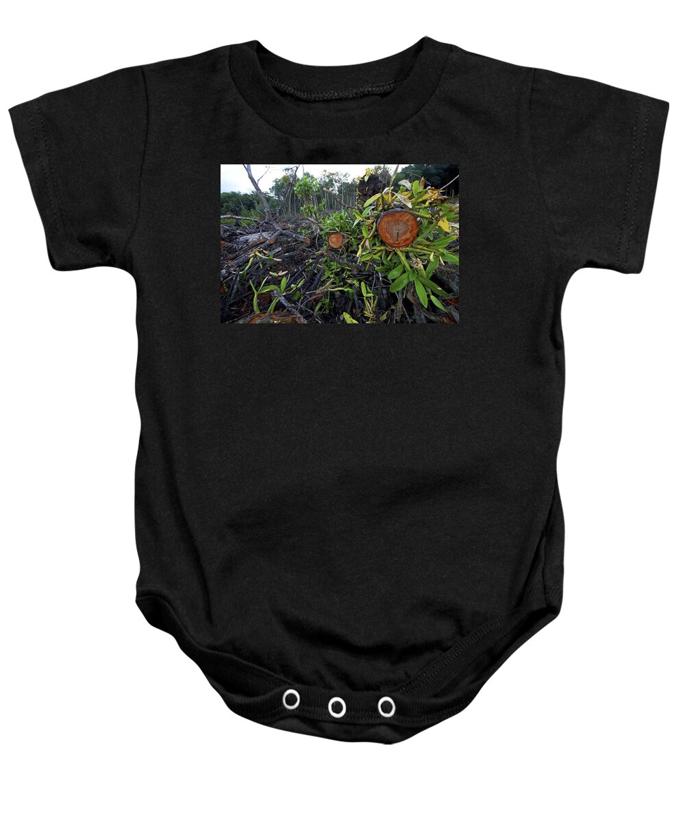 00463375 Baby Onesie featuring the photograph Clear Cut Red Mangrove Stand by Christian Ziegler