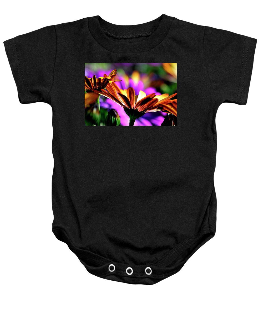 Flowers Baby Onesie featuring the photograph Color and light by Bill Dodsworth