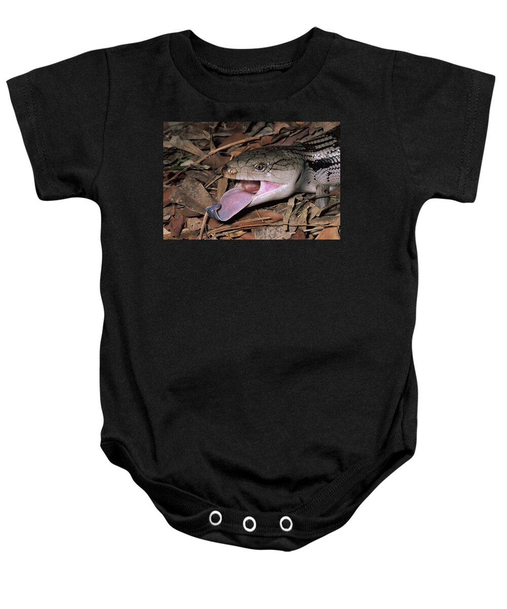 00510711 Baby Onesie featuring the photograph Eastern Blue-tongue Skink Threat Display by Michael and Patricia Fogden