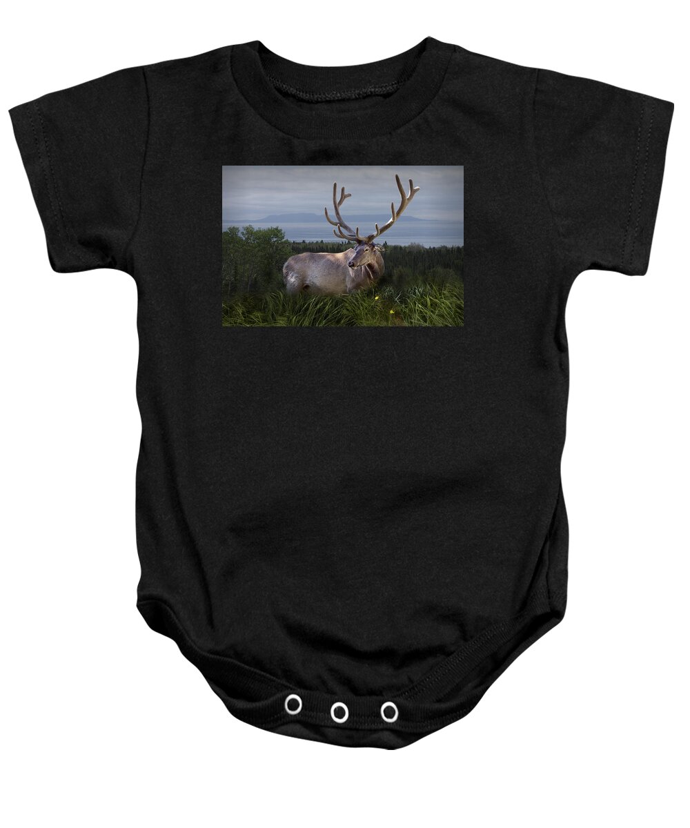 Art Baby Onesie featuring the photograph Elk or Wapiti by Randall Nyhof