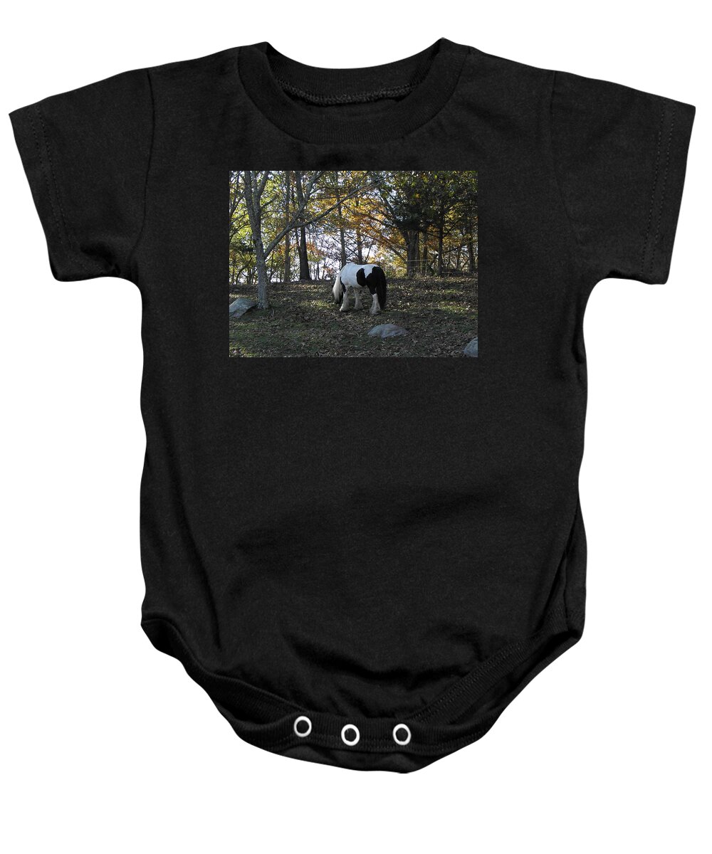 Fall Baby Onesie featuring the photograph Fall Graze by Kim Galluzzo