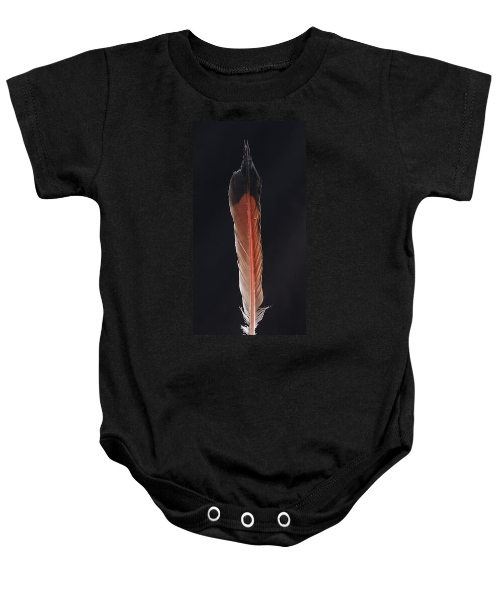 Feather Baby Onesie featuring the photograph Flick of a Feather by Jean Noren