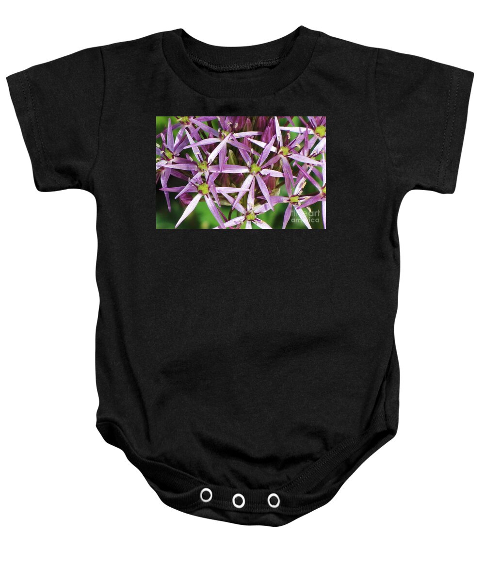 Allium Baby Onesie featuring the photograph Flower Stars by Michele Penner