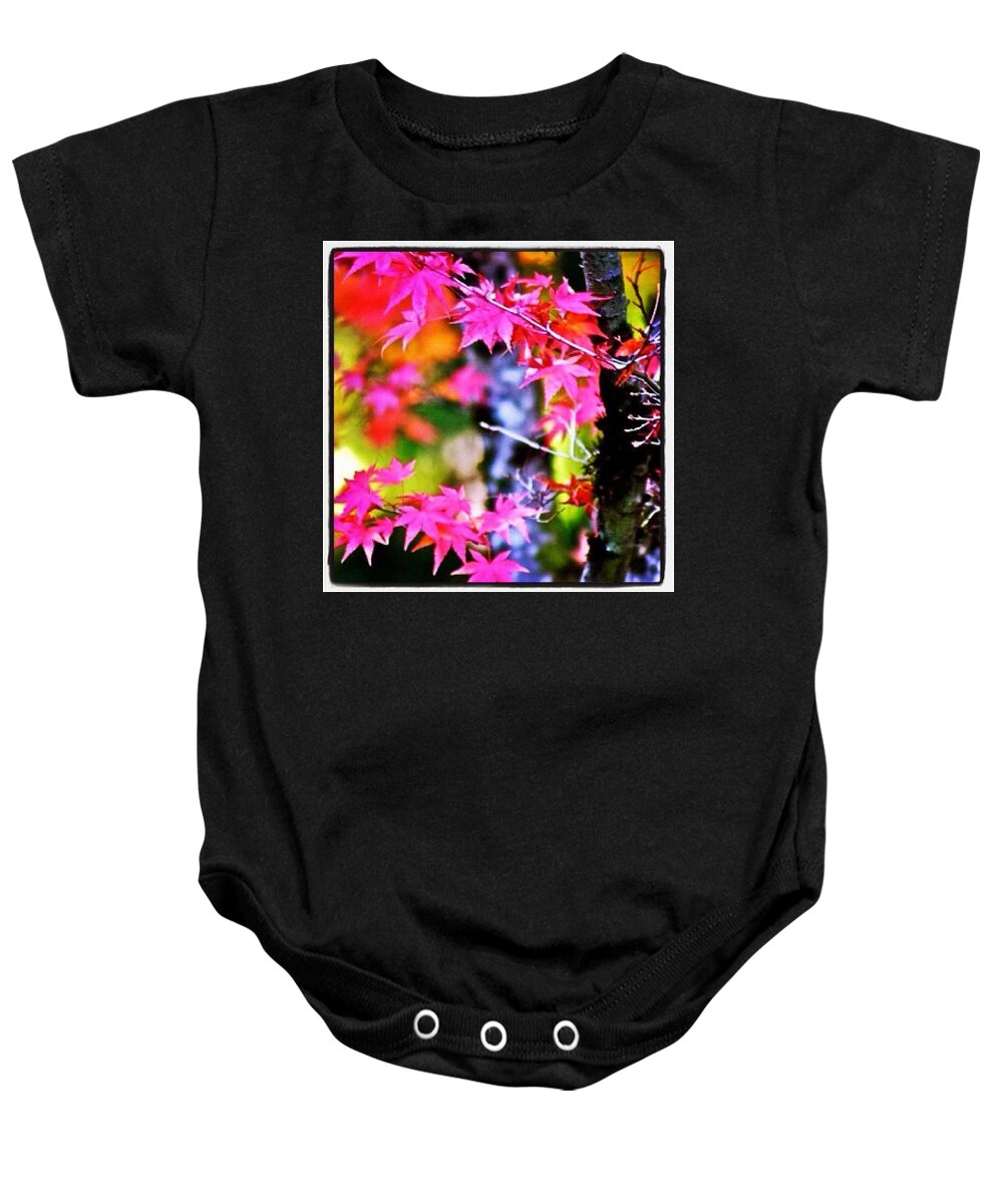 Fall Color Baby Onesie featuring the photograph Fuchsia And Orange Maple Leaves by Anna Porter
