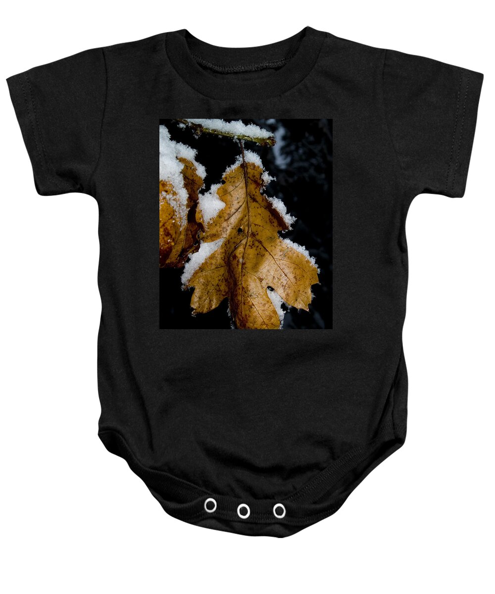 Yosemite Valley Baby Onesie featuring the photograph Golden Leaf by Bill Gallagher