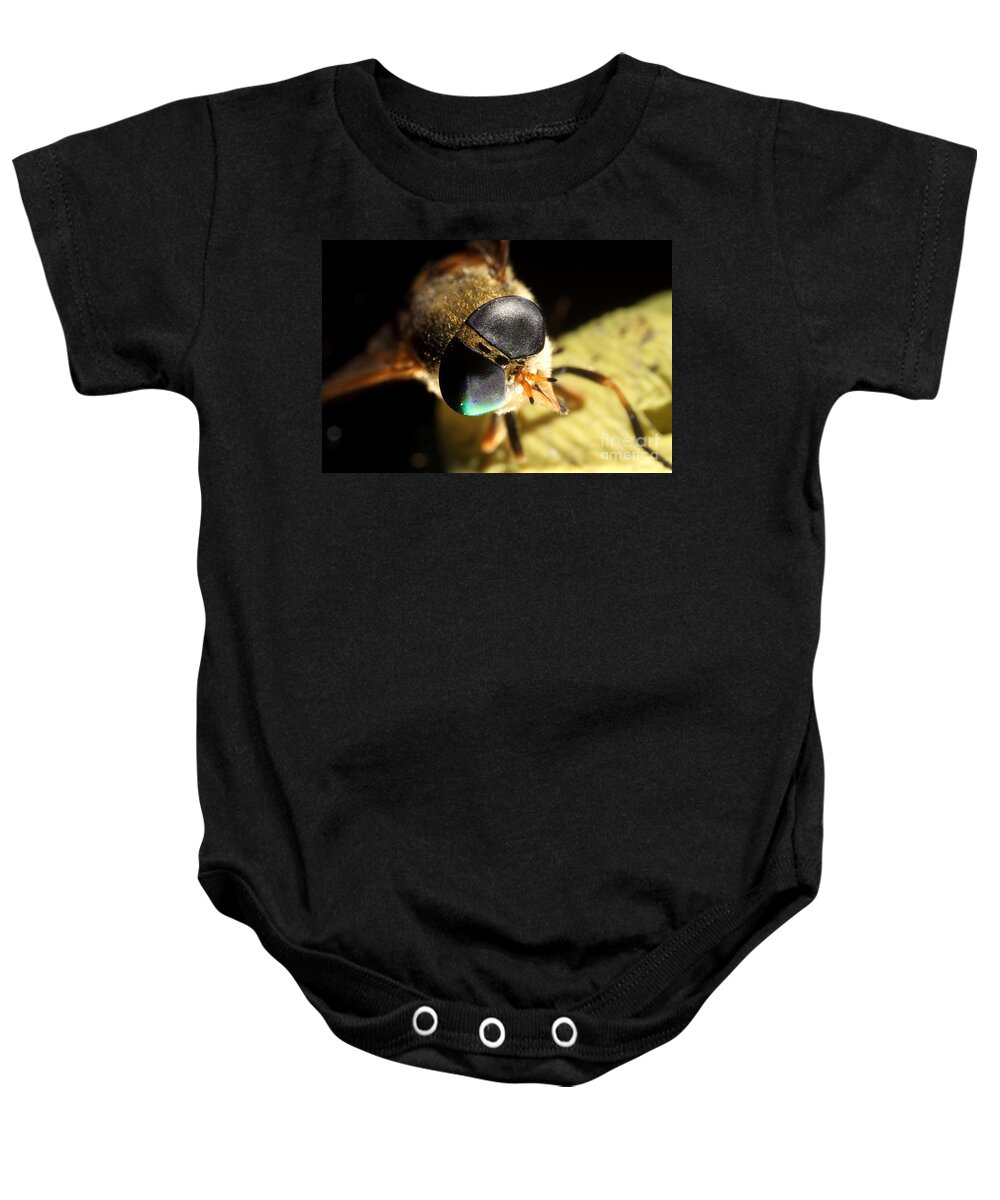 Horse Fly Baby Onesie featuring the photograph Horse Fly by Ted Kinsman