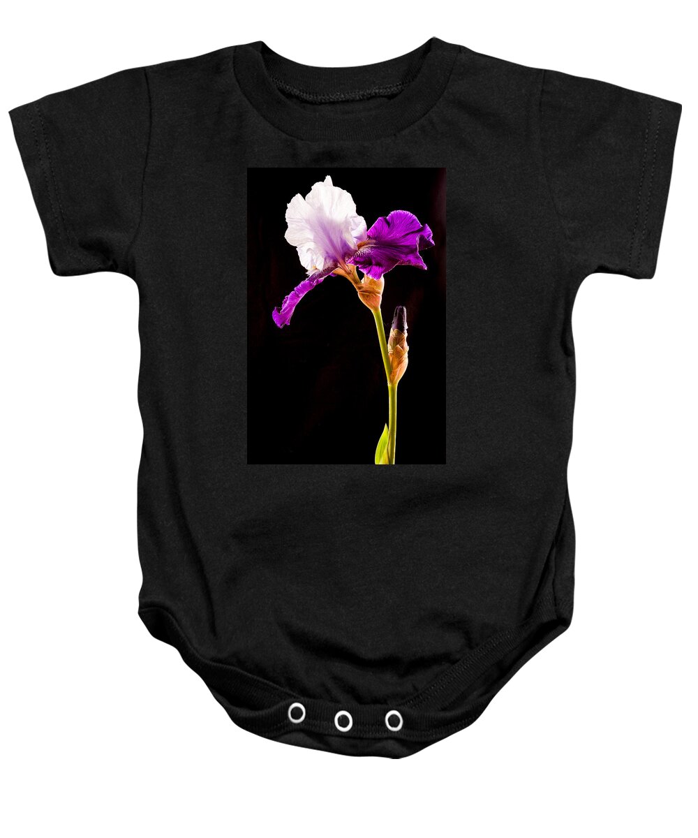Iris Baby Onesie featuring the photograph Purple Bearded Iris Profile by Jean Noren