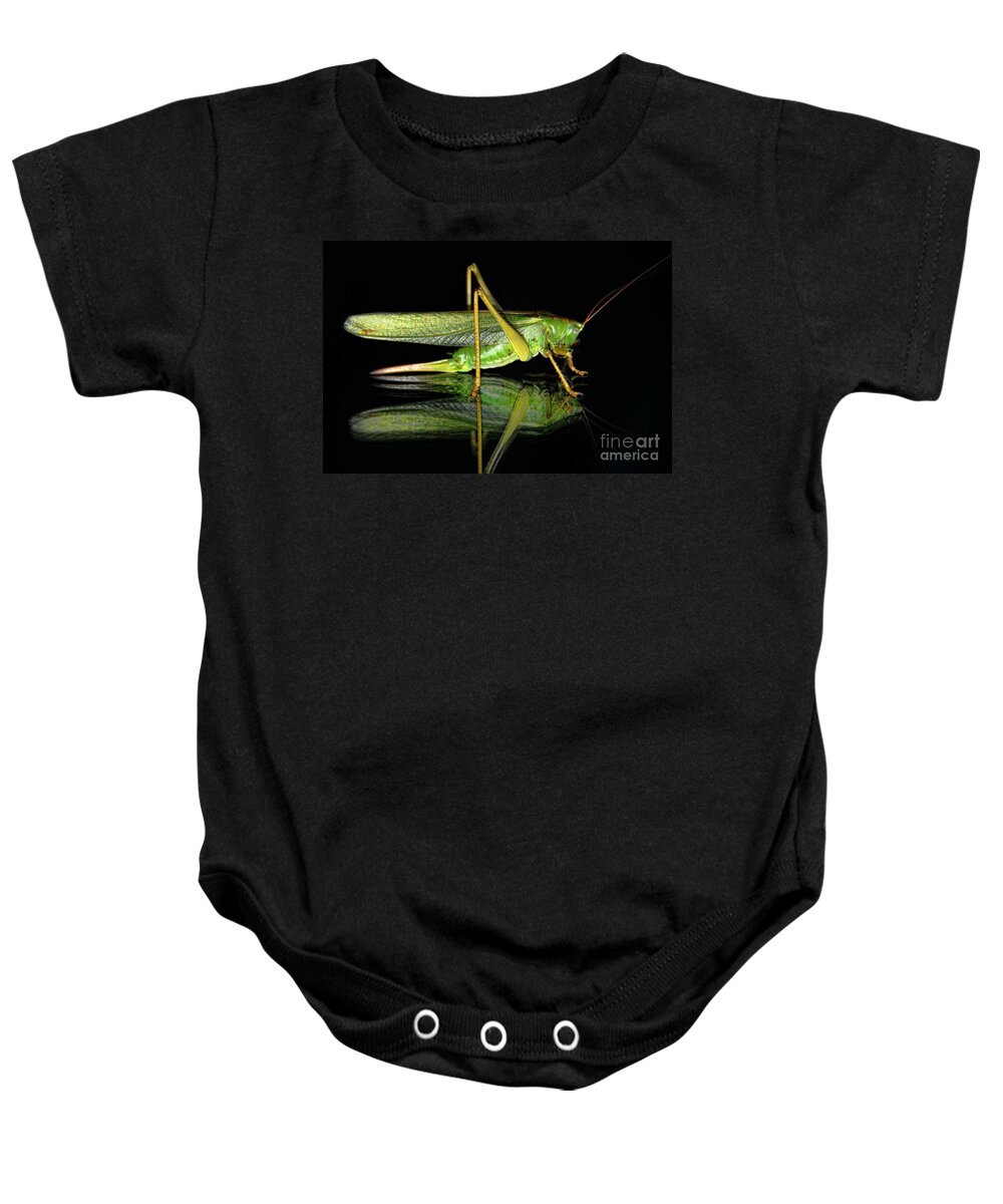 Katydid Reflection Baby Onesie featuring the photograph Katydid Reflection by Kasia Bitner