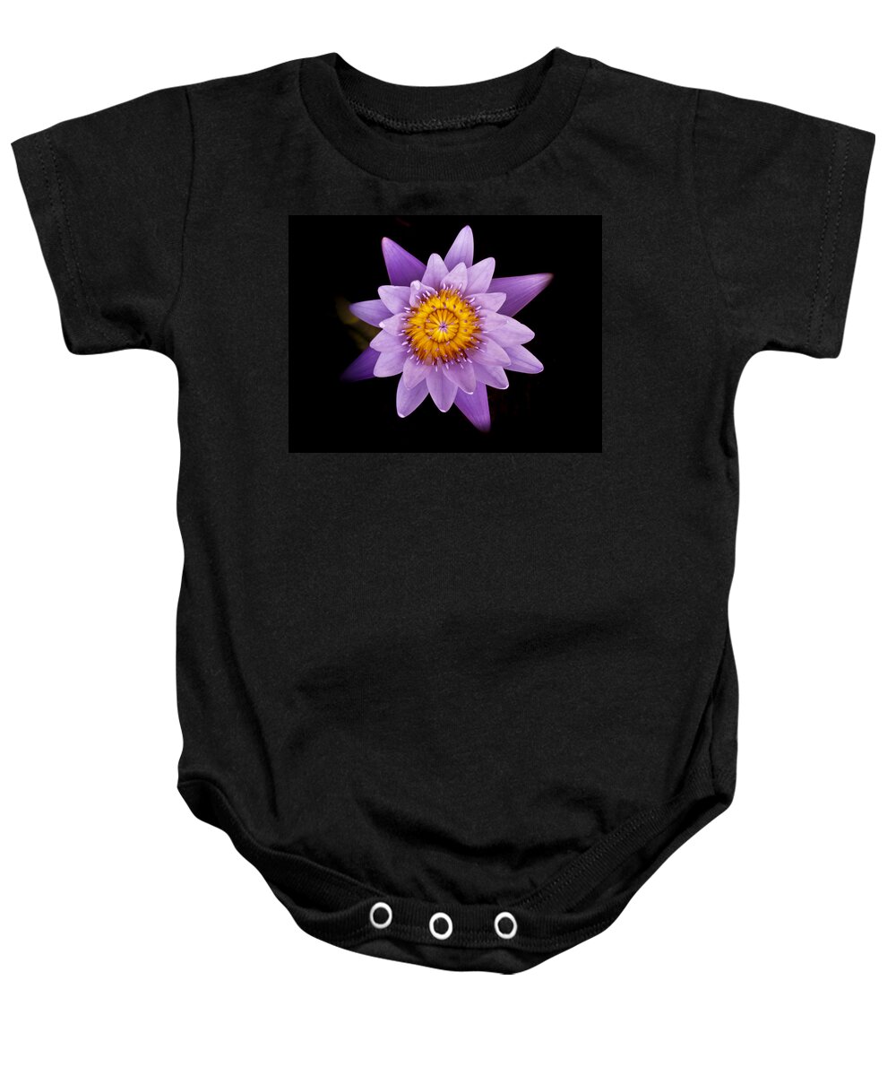 Alone Baby Onesie featuring the photograph Lavender Water Liliy III by Joe Carini - Printscapes