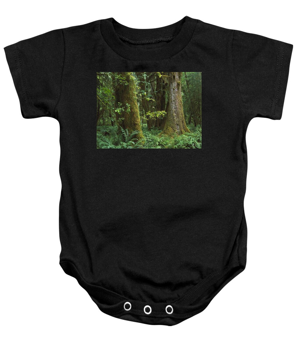 00173579 Baby Onesie featuring the photograph Moss Covered Trees And Dense by Tim Fitzharris