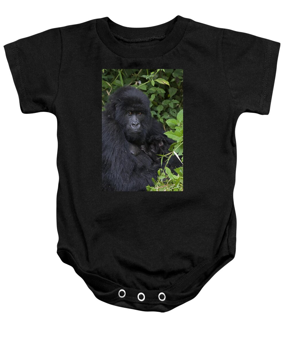 00427965 Baby Onesie featuring the photograph Mountain Gorilla Mother And Infant Parc by Suzi Eszterhas