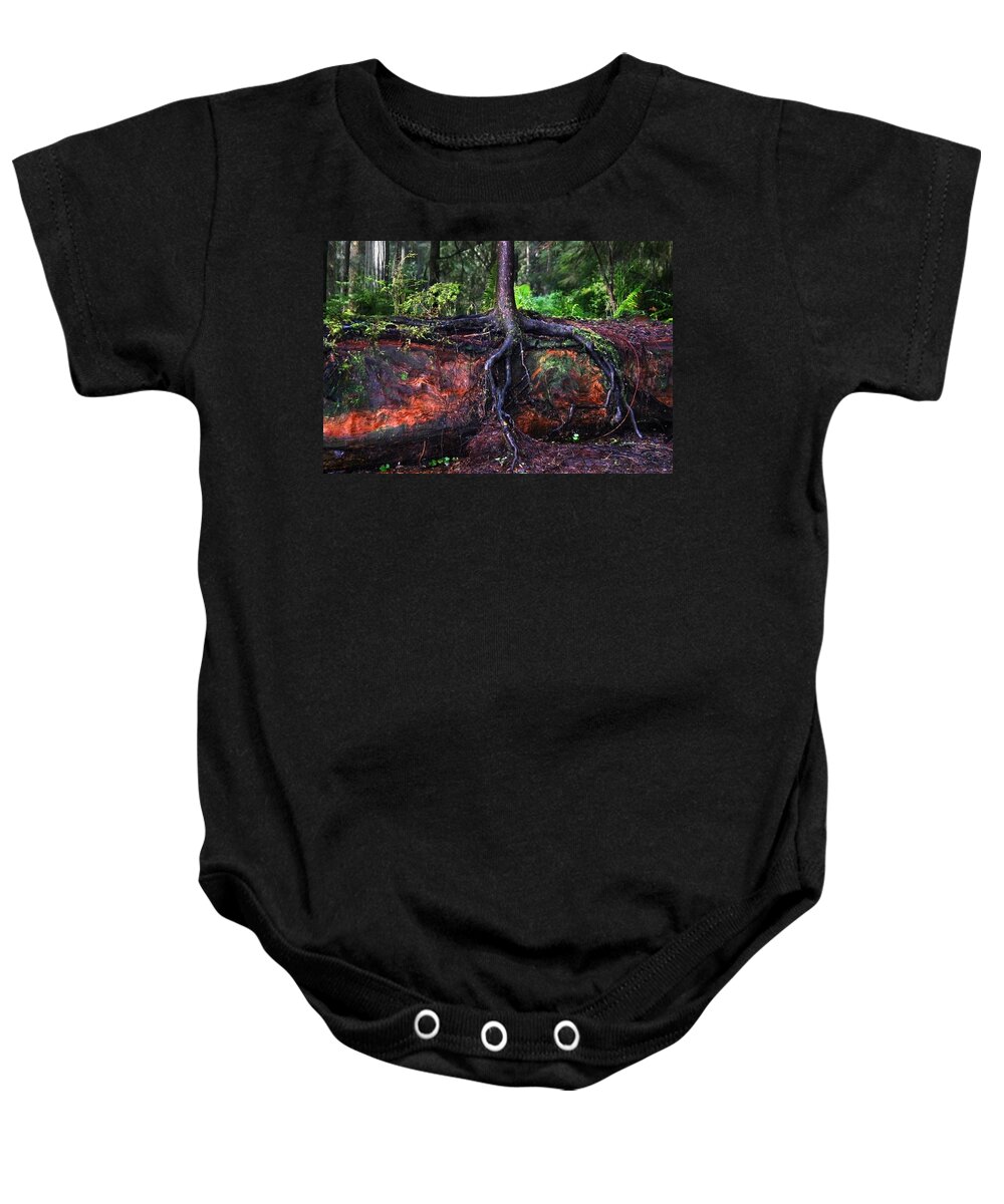 Redwood Baby Onesie featuring the photograph Next Generation by Anthony Jones