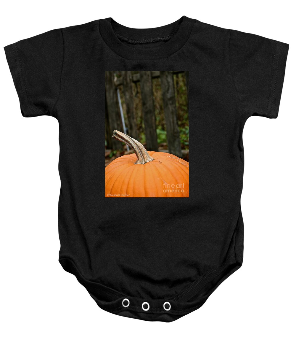 Outdoors Baby Onesie featuring the photograph Orange Top by Susan Herber