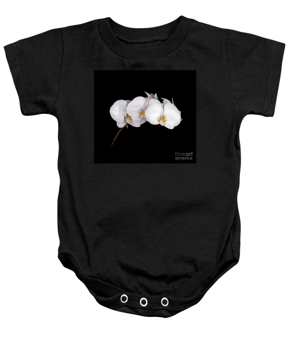 Flower Baby Onesie featuring the photograph Orchid 001 by Larry Carr