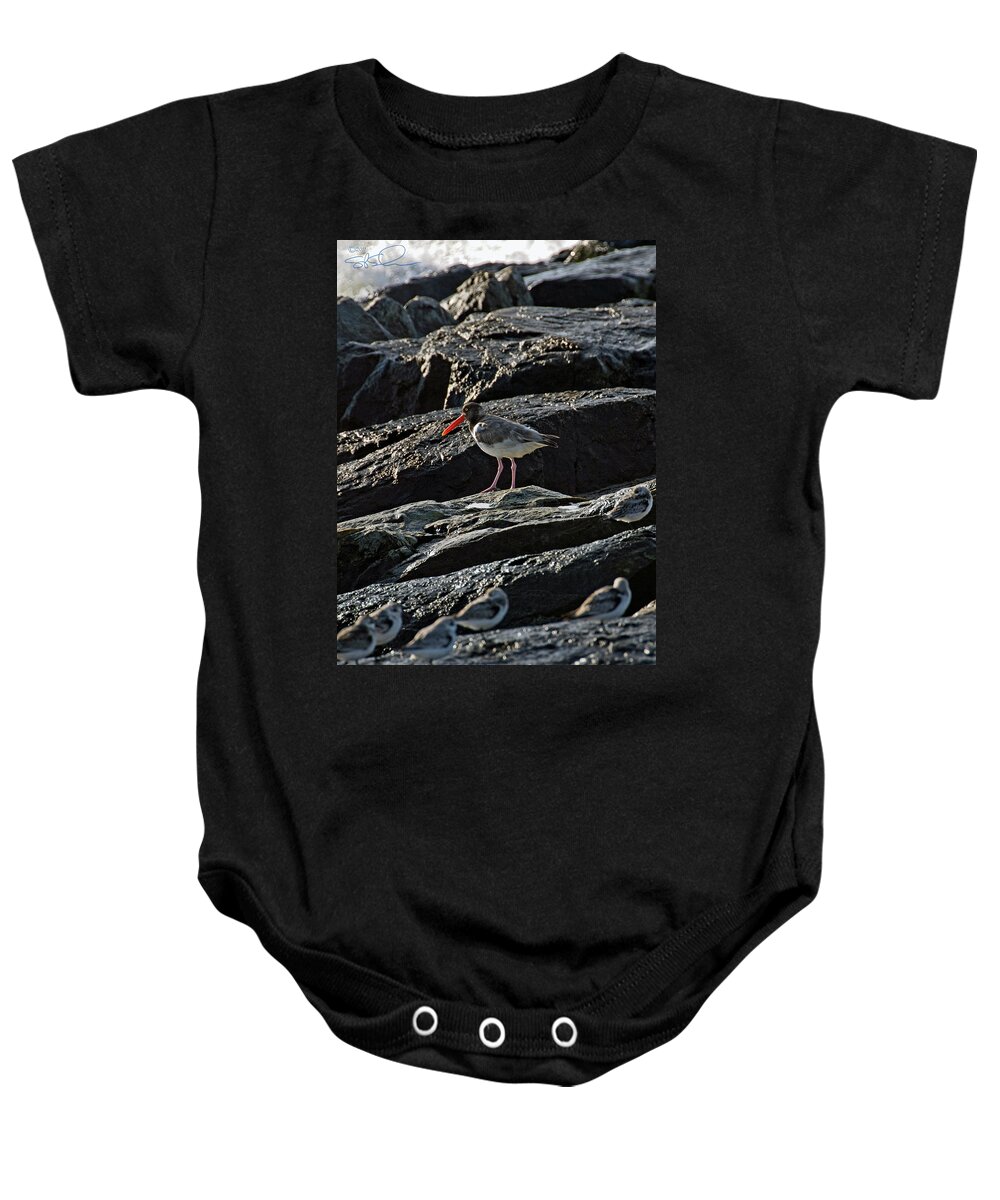 Oyster Catcher Baby Onesie featuring the photograph Oyster on the Rocks by S Paul Sahm