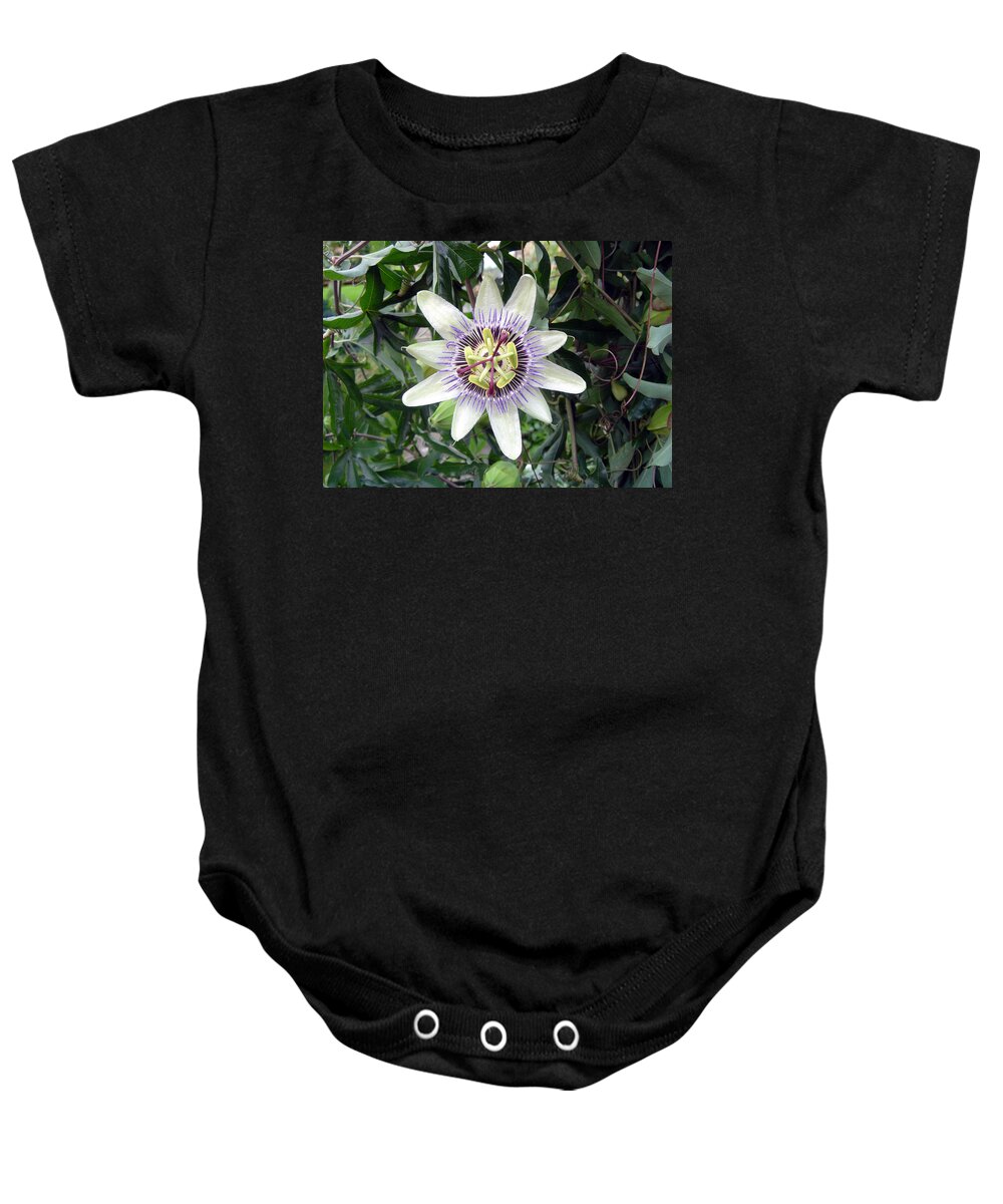 Plant Baby Onesie featuring the photograph Passion Flower by Rod Johnson