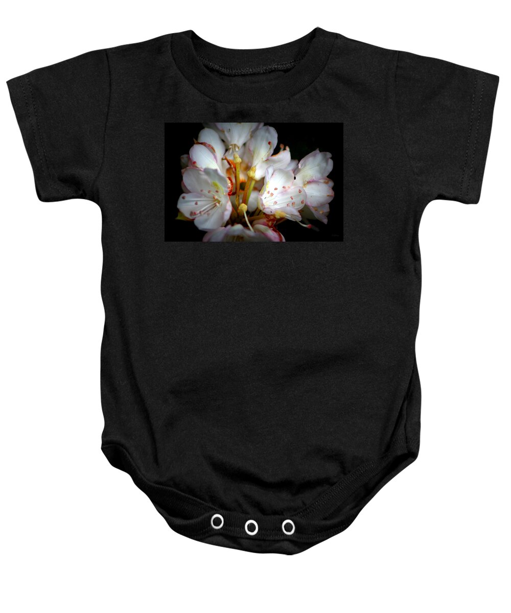 Rhododendron Baby Onesie featuring the photograph Rhododendron Explosion by Deborah Crew-Johnson