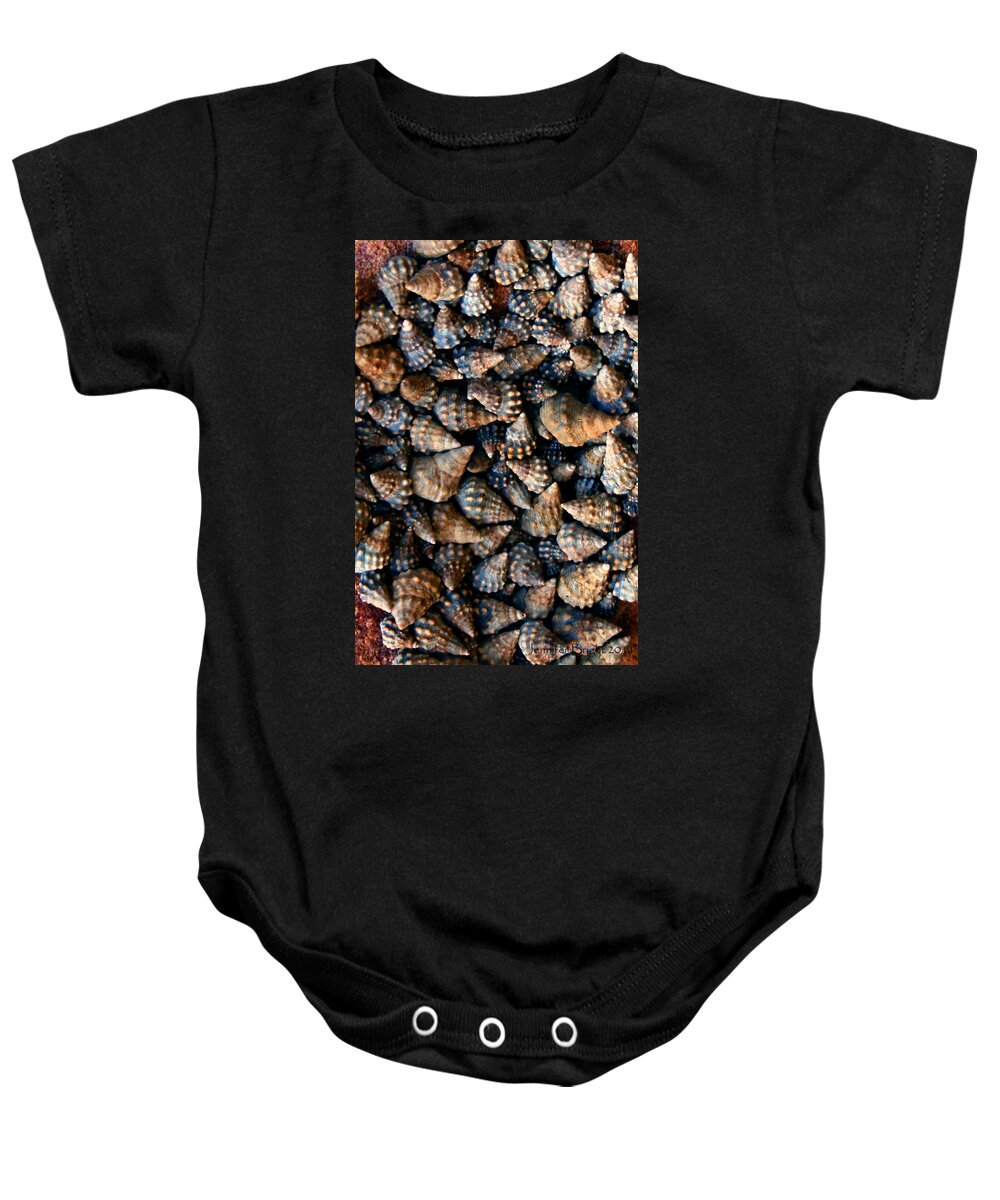 Mazing Beaches Baby Onesie featuring the photograph Shell Cluster Koh Kut Thailand by Jennifer Bright Burr
