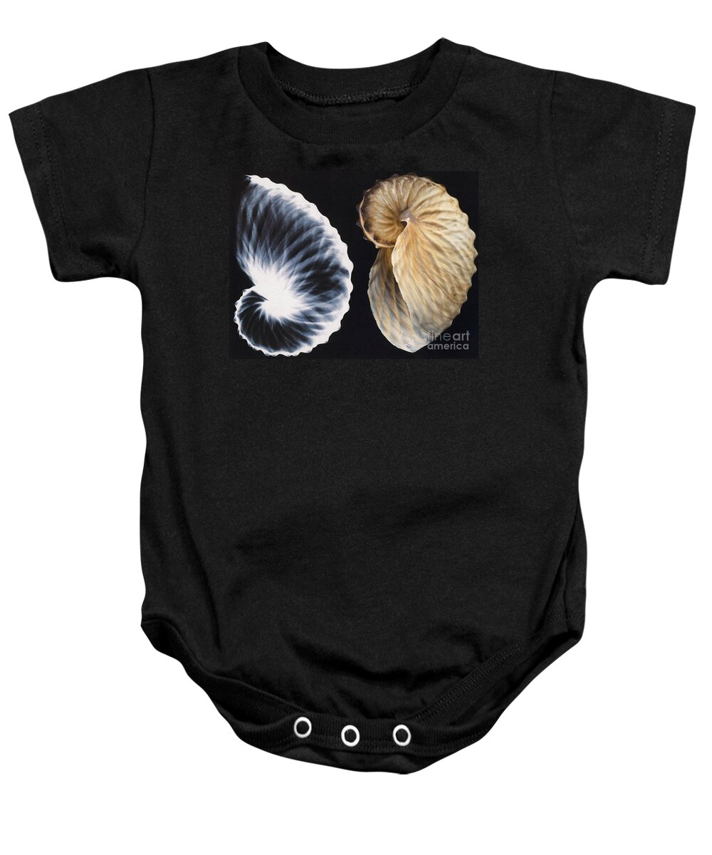 X-ray Baby Onesie featuring the photograph Shell X-ray by Photo Researchers