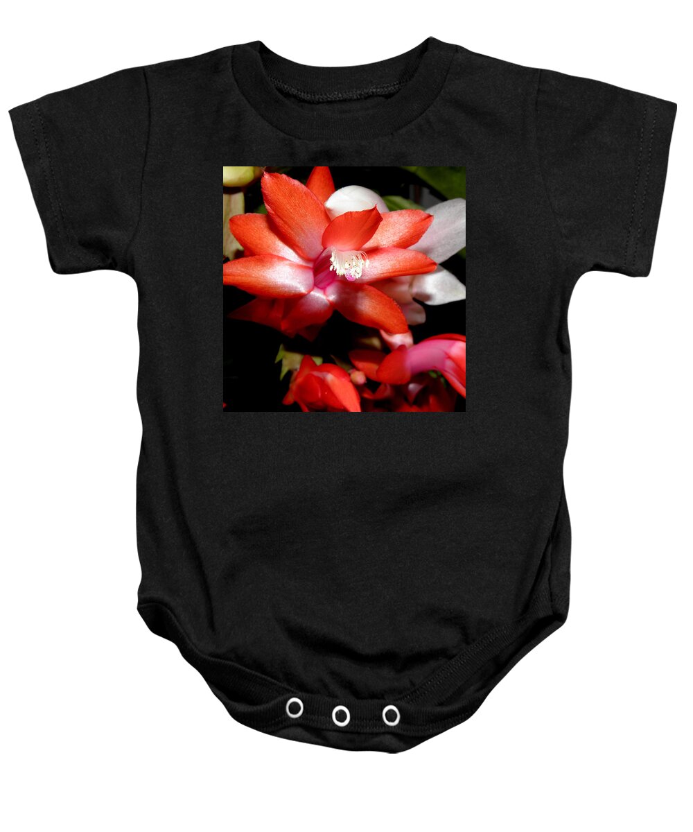 Christmas Baby Onesie featuring the photograph Shimmering Beauty by Kim Galluzzo