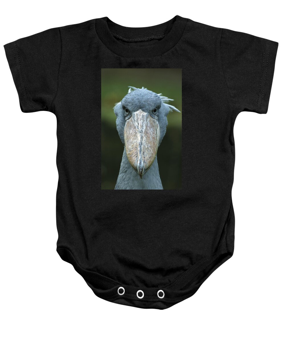 Mp Baby Onesie featuring the photograph Shoebill Balaeniceps Rex Portrait by Konrad Wothe