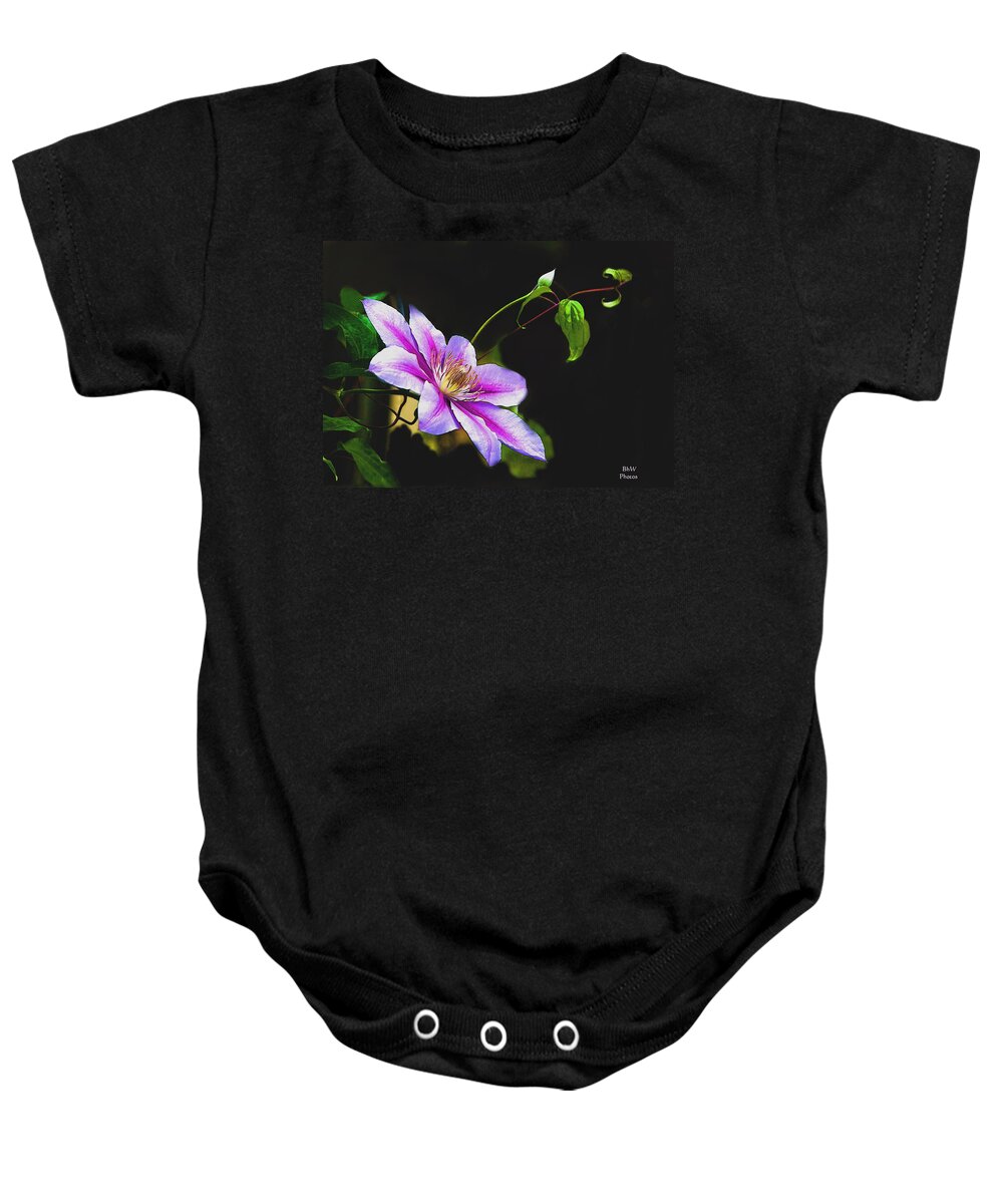 Climatis Baby Onesie featuring the photograph Single Climatis by Bonnie Willis