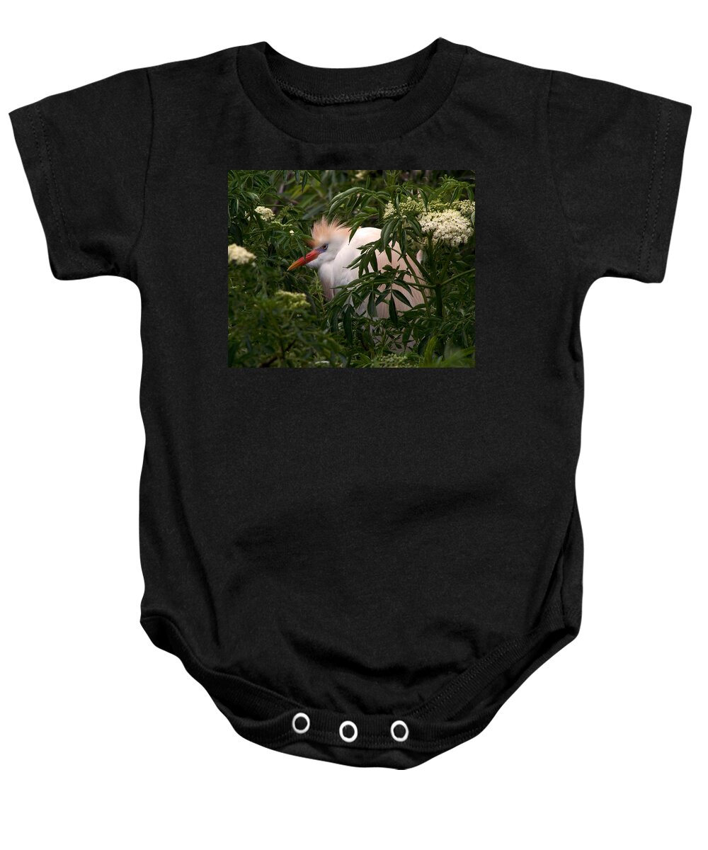 Nature Baby Onesie featuring the photograph Sleepy Egret in Elderberry by Peggy Urban