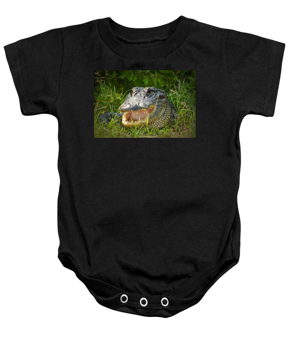 Alligator Baby Onesie featuring the photograph Smiling Alligator by Richard Leighton
