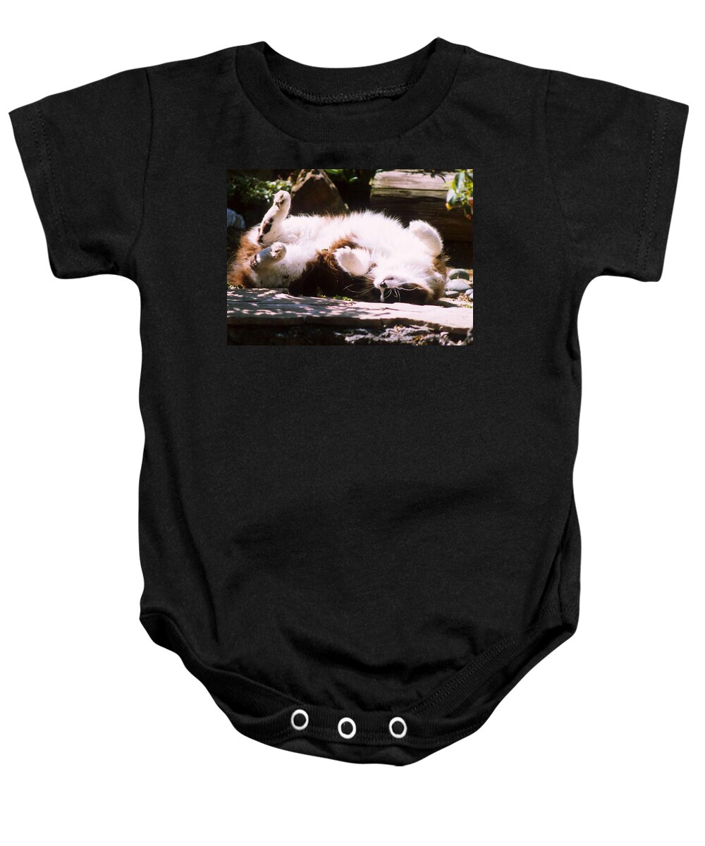 Ragdoll Cat Baby Onesie featuring the photograph Sound Asleep by Larry Allan
