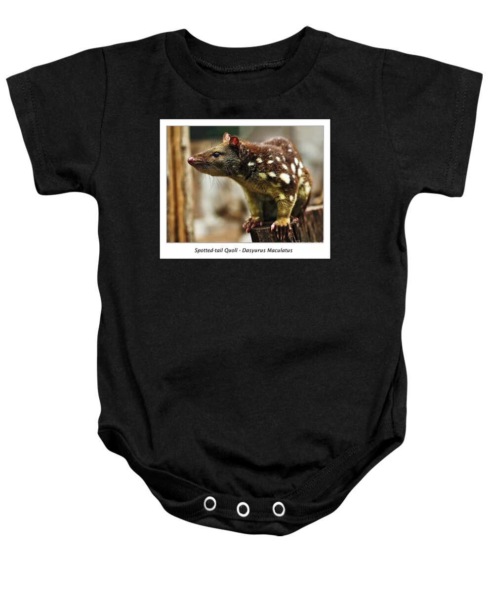 Photography Baby Onesie featuring the photograph Spotted-tail Quoll by Kaye Menner