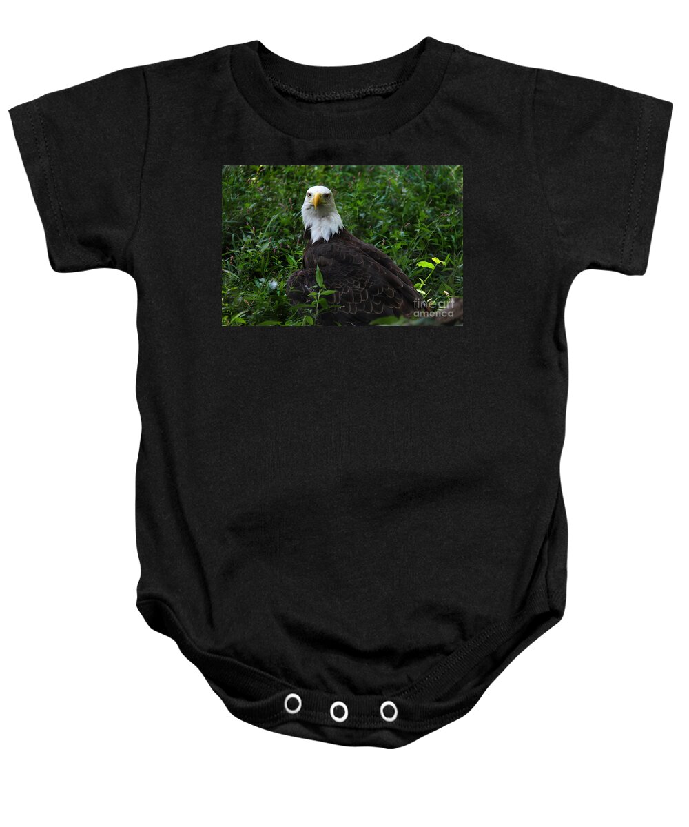 Lee Dos Santos Baby Onesie featuring the photograph The American Bald Eagle IV by Lee Dos Santos