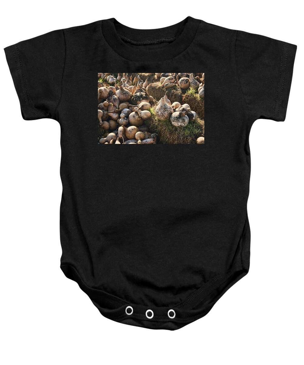 Gourds Baby Onesie featuring the photograph The Gourd Family by Kathy Clark