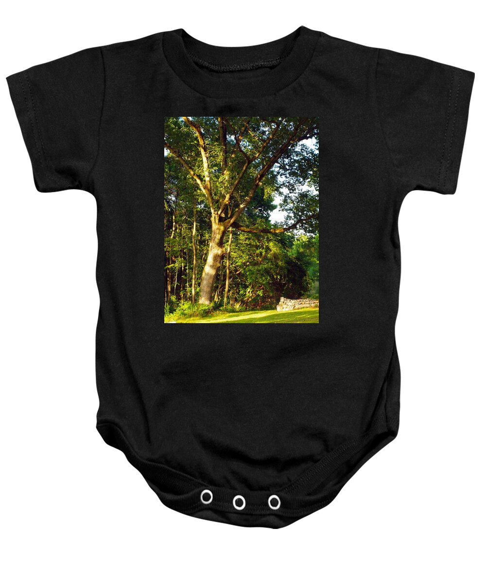 Farm Animals Baby Onesie featuring the photograph The Strong Tree by Robert Margetts