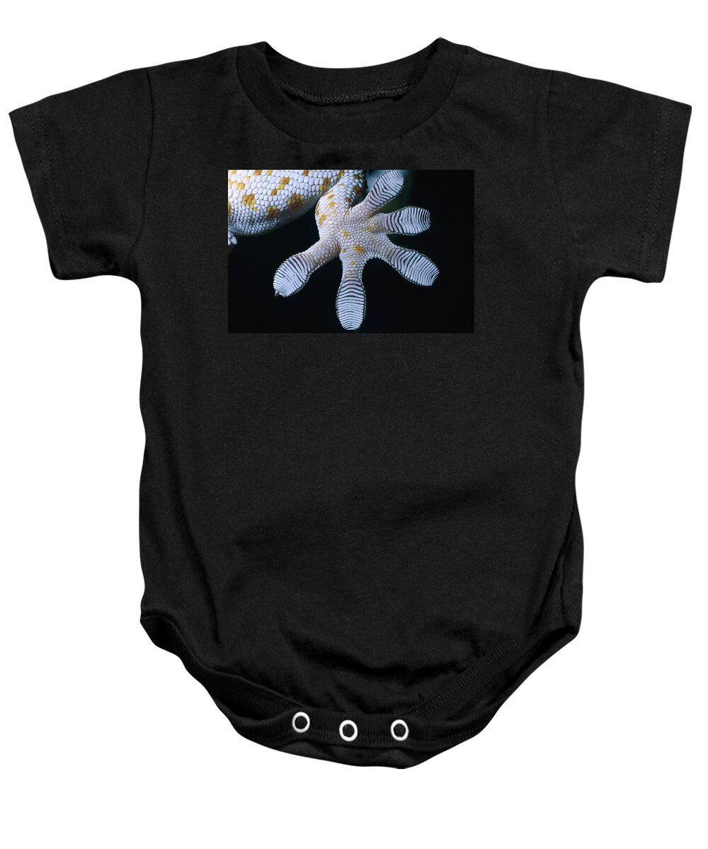 00129470 Baby Onesie featuring the photograph Tokay Gecko Foot by Mark Moffett